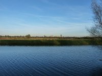 148-409, O, 2012-12-20, NL-Rob Brinkhof, 51.677275N   5.293824 OL, 's-Hertogenbosch