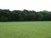 173-381, O, 2011-05-15, NL-Leo Schutter, 51.422323 NB-5.653169 OL, Someren