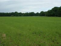 173-381, W, 2011-05-15, NL-Leo Schutter, 51.422323 NB-5.653169 OL, Someren