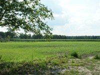 173-383, W, 2011-07-15, NL-Leo Schutter, 51.440414 NB-5.653103 OL, Someren