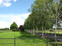 173-395, O, 2-6-2013, NL-PETER VLAMINGS, 173.600-395.466, LAARBEEK