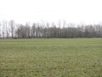 173-397, O, 30-3-2013, NL-PETER VLAMINGS, 173.527-397.527, LAARBEEK