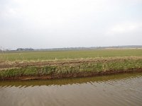 173-397, W, 30-3-2013, NL-PETER VLAMINGS, 173.527-397.527, LAARBEEK