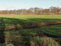 177-379, N, 2012-12-30, NL-Tiny de Krom, 51.403305 NB-5.710536 OL, Someren