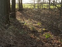 177-379, S, 2012-12-30, NL-Tiny de Krom, 51.403305 NB-5.710536 OL, Someren