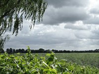 177-395, O, 2012-06-09, NL-Tiny de Krom, 51.549226 NB-5.707783 OL, Gemert-Bakel