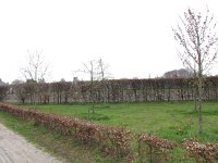 177-399, Gemert-Bakel