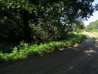 181-376, W, 2015-9-11, NL-Peter Vlamings, 181542-376566, Asten