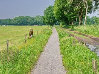 181-387, W, 24-05-2012, NL-Hendrik Blauw, 51.478310 NB-5.768519 OL, Deurne
