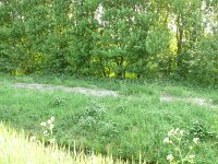 108-500, Z, 2011-04-24, NL-Wim Huisman, 52.489477 NB-4.700859 OL, Heemskerk