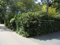 108-523, W, 2011-08-20, NL-Cor Bakker, 52.696771 NB-4.699336 OL, Bergen