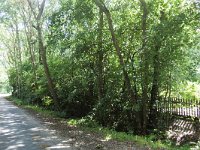 108-524, Z, 2011-08-20, NL-Cor Bakker, 52.705970 NB-4.698752 OL, Bergen