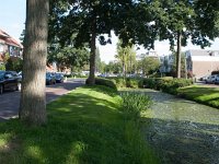 119-481, O, 2015-09-09, NL-Hans Farjon, 52.319857 NB-4.866429 OL, Amstelveen