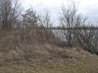 119-493, O, 2013-03-06, NL-Hans Farjon, 52.427826 NB-4.864088 OL, Amsterdam