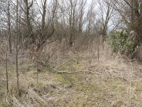 119-493, W, 2013-03-06, NL-Hans Farjon, 52.427826 NB-4.864088 OL, Amsterdam