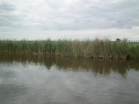 119-510, O, 1-9-2011, NL-Wim Ruitenbeek, 52.580777 NB-4.866402 OL, Schermer