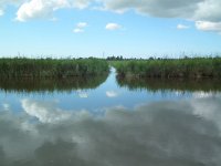 119-510, W, 1-9-2011, NL-Wim Ruitenbeek, 52.580777 NB-4.866402 OL, Schermer