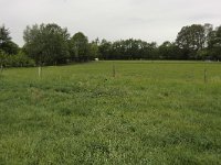 247-470, W, 2011-05-19, NL-Cor Bakker, 52.214701 NB-6.740618 OL, Hengelo