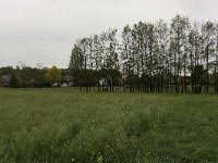 247-470, Z, 2011-05-19, NL-Cor Bakker, 52.214701 NB-6.740618 OL, Hengelo