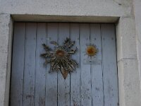 Carlina acanthifolia 12, Saxifraga-Dirk Hilbers