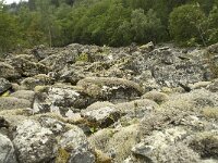 Lichen vegetation on rocks 1, Saxifraga-Willem van Kruijsbergen