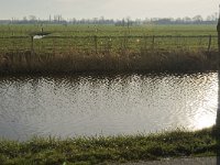 117-442, Z, 2012-01-16, NL-Jan van der Straaten, 117341-442984, Lopik