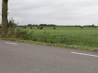 117-467, De Ronde Venen
