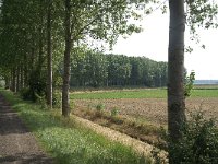 039-366, O, 2015-08-08, NL-Ben Noordzij, 51.276433 NB- 3.731906 OL, Terneuzen