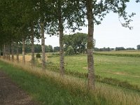 039-366, W, 2015-08-08, NL-Ben Noordzij, 51.276433 NB- 3.731906 OL, Terneuzen