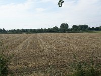 039-366, Z, 2015-08-08, NL-Ben Noordzij, 51.276433 NB- 3.731906 OL, Terneuzen
