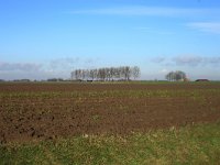 059-368, Hulst