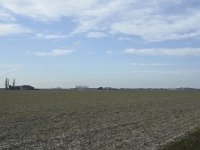 72-425, W, 9-3-2010, NL-Piet de Winter, 51.814204 NB-4.193547 OL, Bernisse : kilometervak