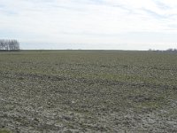 72-425, Z, 9-3-2010, NL-Piet de Winter, 51.814204 NB-4.193547 OL, Bernisse : kilometervak